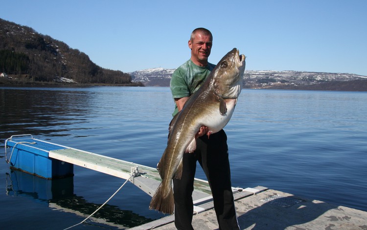 Sandbakken Feriesenter Fangerfolge 