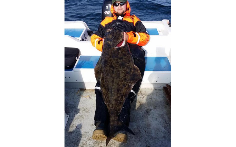 Sandbakken Feriesenter Fangerfolge 