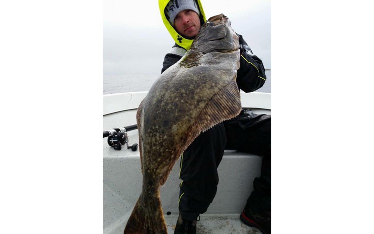 Sandbakken Feriesenter Fangerfolge 