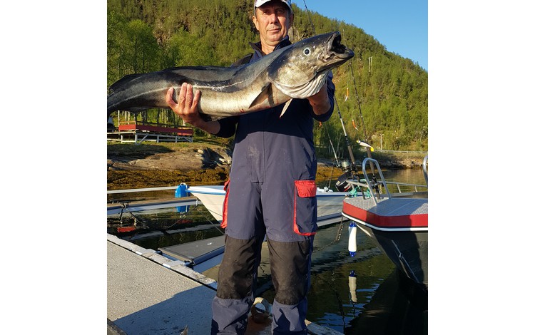 Sandbakken Feriesenter Fangerfolge 