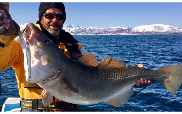 Sandbakken Feriesenter Fangerfolge 