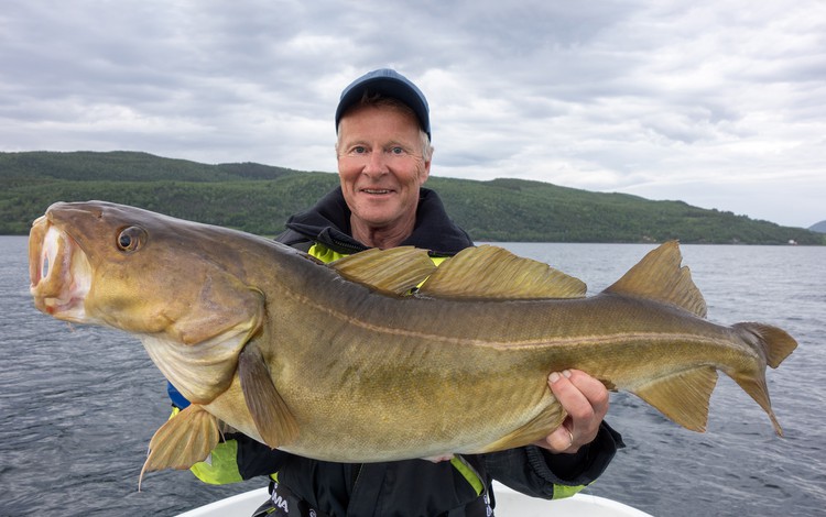 Sandbakken Feriesenter Fangerfolge 