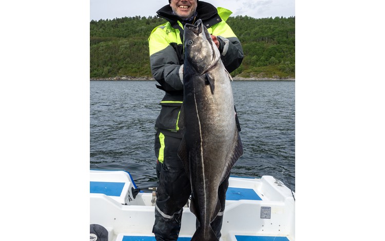 Sandbakken Feriesenter Fangerfolge 