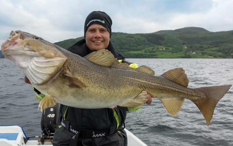 Sandbakken Feriesenter Fangerfolge 