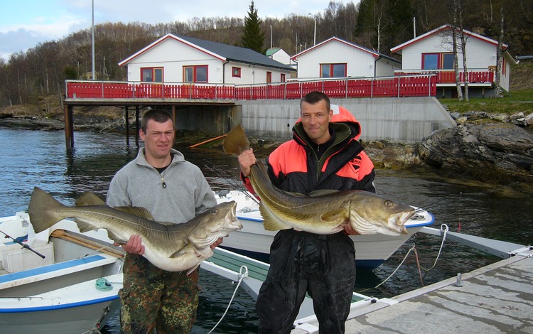 Sandbakken Feriesenter Fangerfolge 