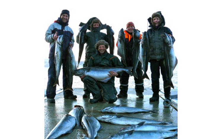 Sandbakken Feriesenter Fangerfolge 