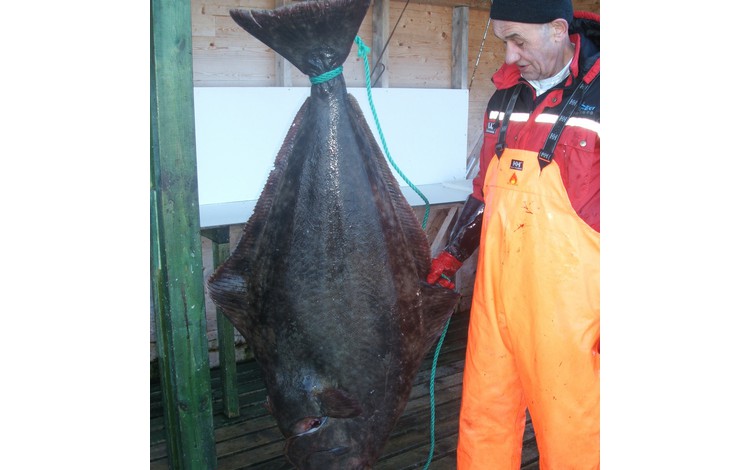 Sandbakken Feriesenter Fangerfolge 