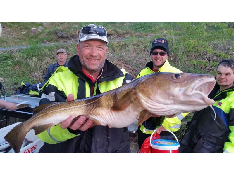 Soerlandet Fischbilder 