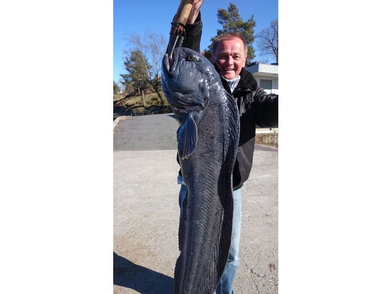 Soerlandet Fischbilder 