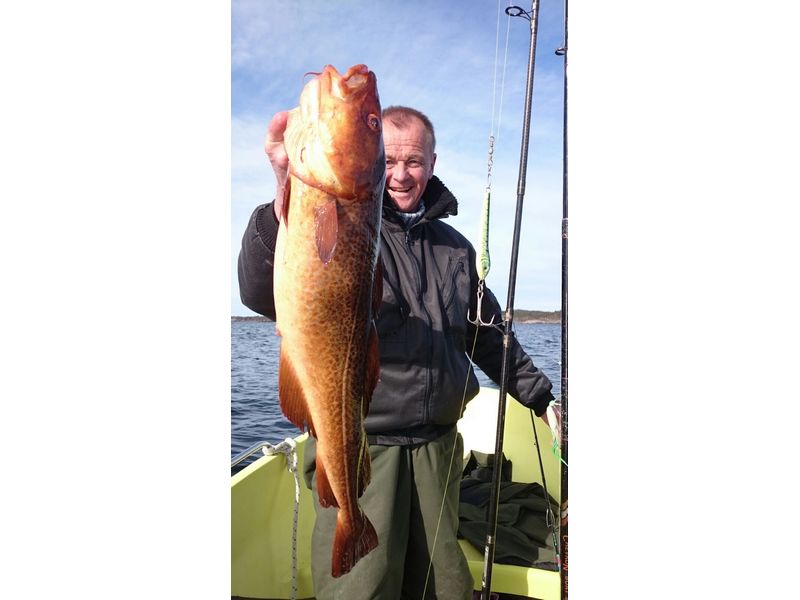 Soerlandet Fischbilder 