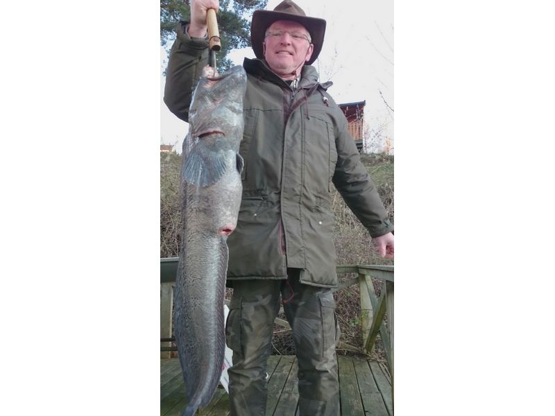 Soerlandet Fischbilder 