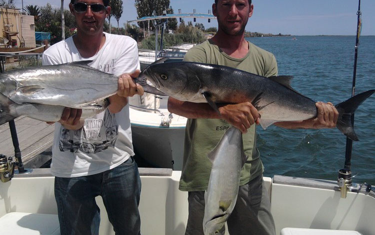 Spanien Ebro Delta Fisch 