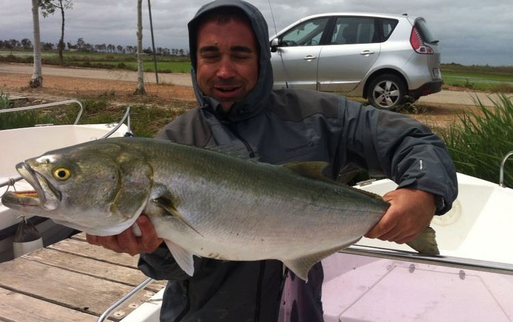 Spanien Ebro Delta Fisch 
