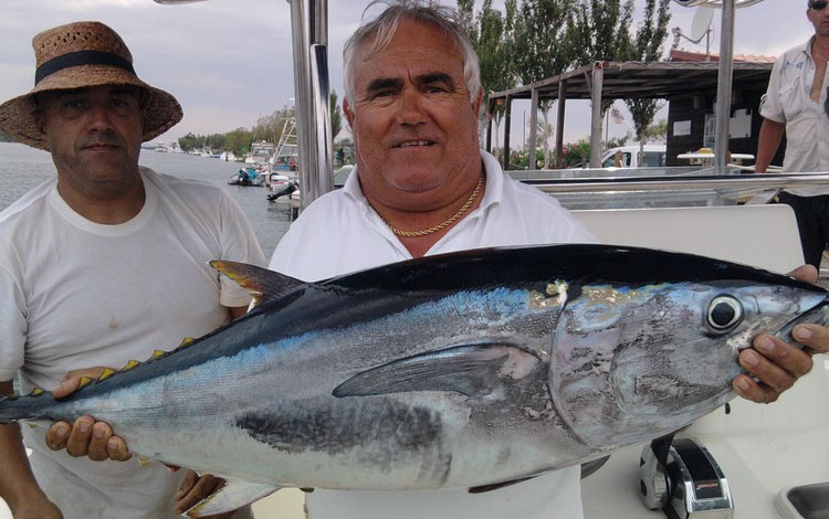 Spanien Ebro Delta Fisch 