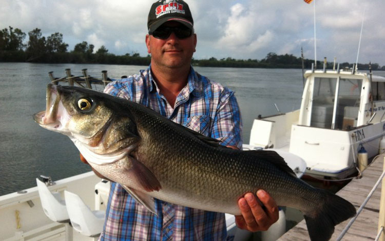 Spanien Ebro Delta Fisch 