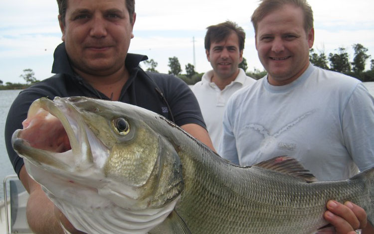 Spanien Ebro Delta Fisch 