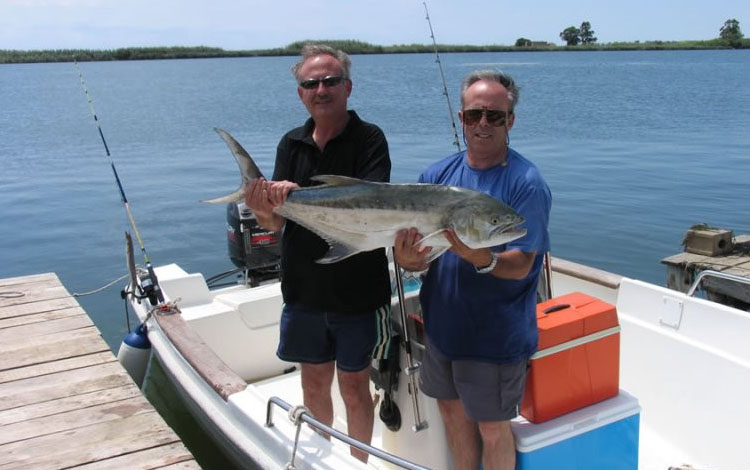 Spanien Ebro Delta Fisch 