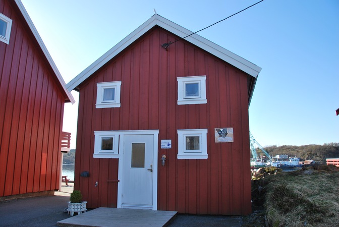 219A 01