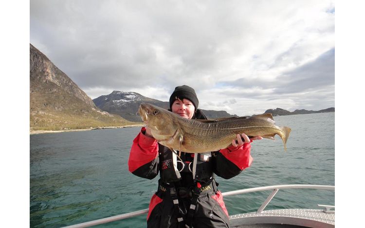 Nordnorwegen Steigen  Fischbilder 