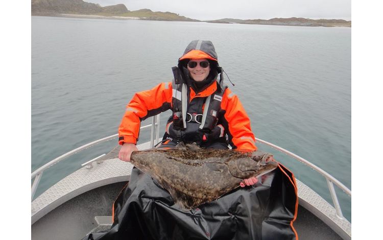 Nordnorwegen Steigen Neu Fischbilder 