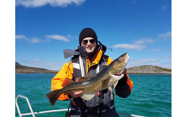 Nordnorwegen Steigen Neu Fischbilder 