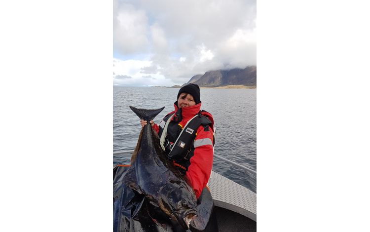 Nordnorwegen Steigen  Fischbilder 