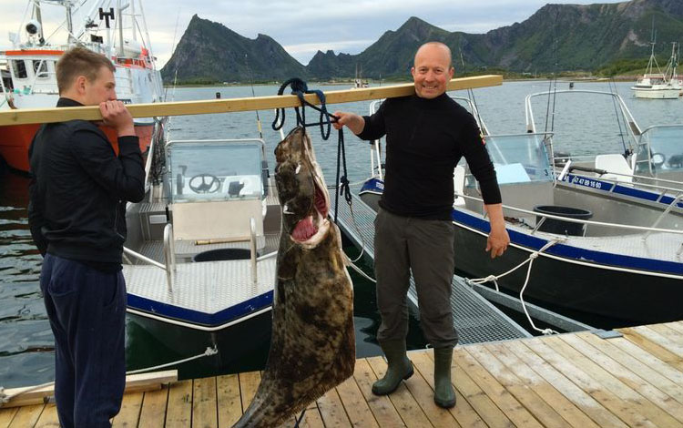 Steigen Sjoehus Fangerfolge 