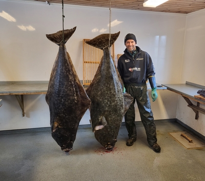 Steigen Sjoehus Fangerfolg