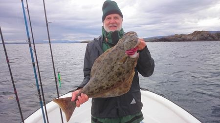 Steinsund Fangerfolge02