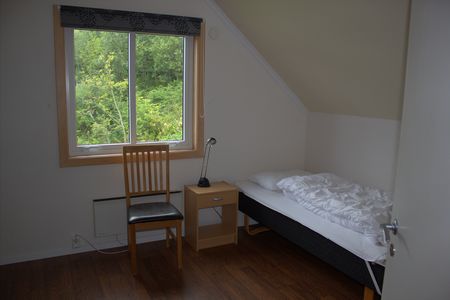 Steinsund Holmenblick  06Sz