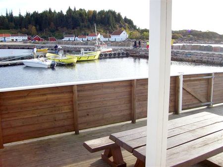 Suednorwegen Aviknes Unterkunft Terrasse