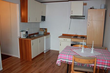WestNorwegen Smola Feriecenter Ferienwohnungen1 3 05Kueche