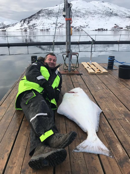 Amberfish Fangerfolge 