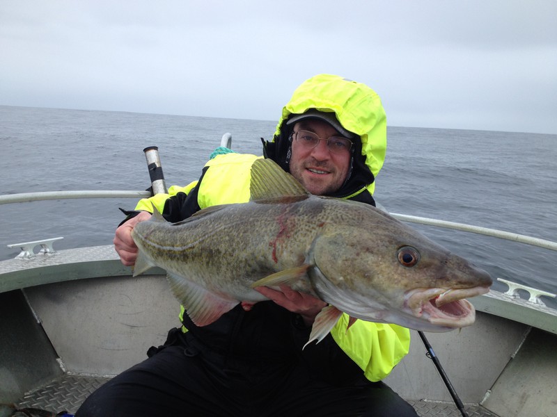 Amberfish Fangerfolge 