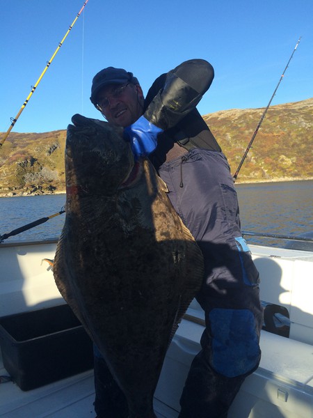 Amberfish Fangerfolge 