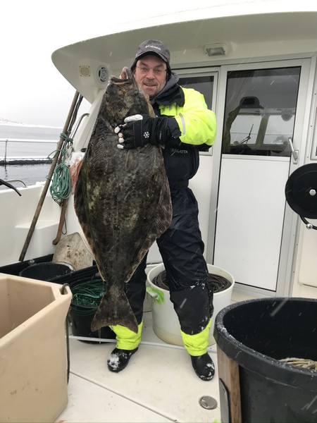 Amberfish Fangerfolge 