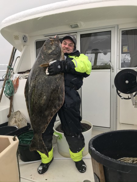 Amberfish Fangerfolge 