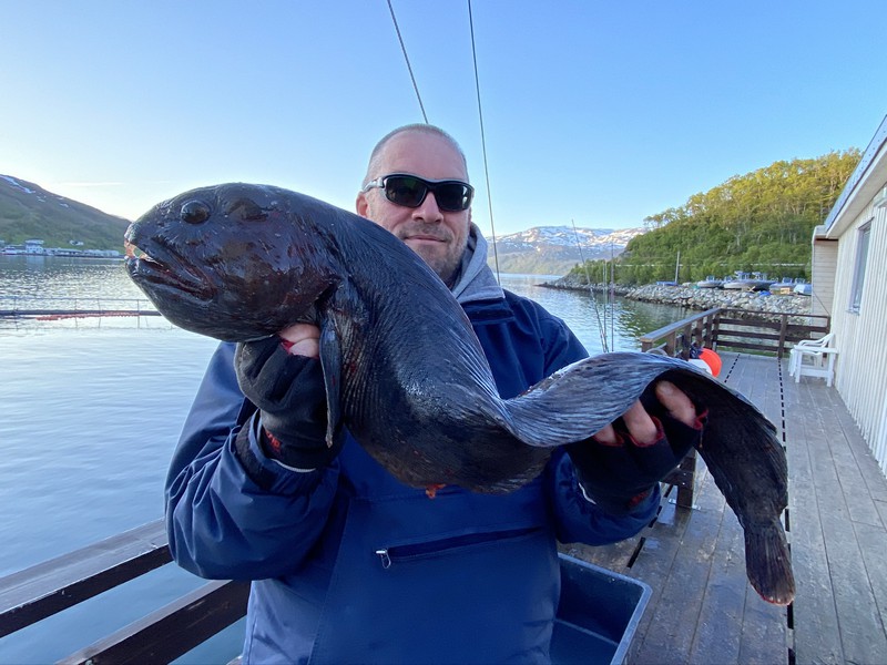 Amberfish Fangerfolge 