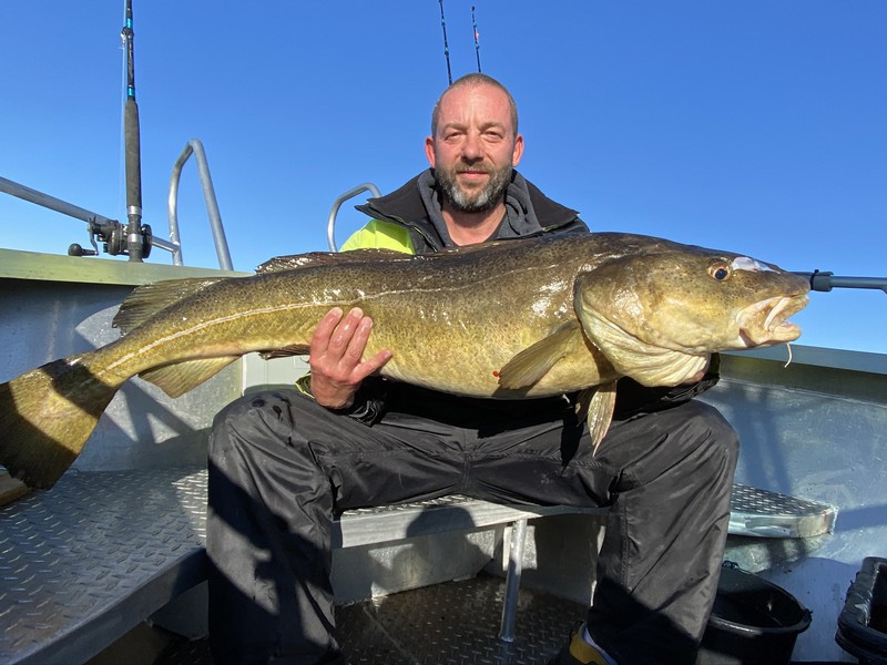 Amberfish Fangerfolge 