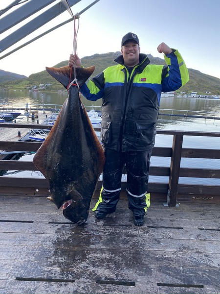 Amberfish Fangerfolge 