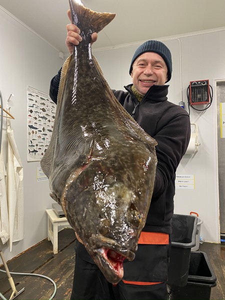 Amberfish Fangerfolge 