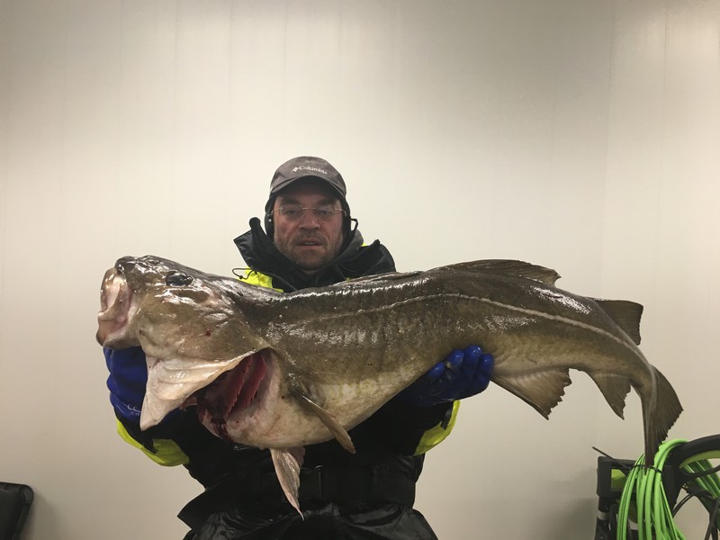 Amberfish Fangerfolge 