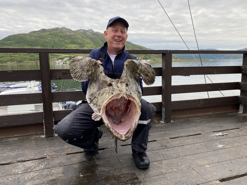 Amberfish Fangerfolge 