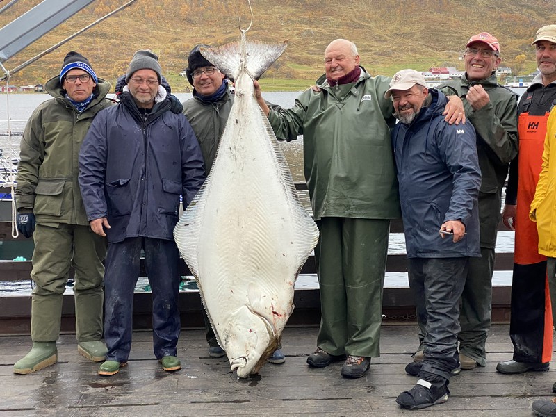 Amberfish Fangerfolge 