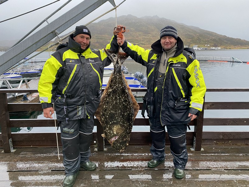 Amberfish Fangerfolge 