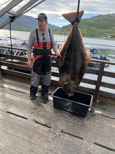 Amberfish Fangerfolge 