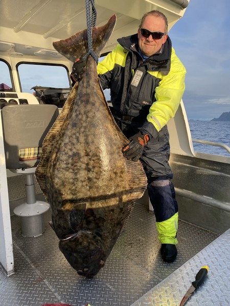 Amberfish Fangerfolge 