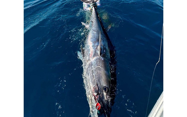 valencia ampolla fangerfolge 0005