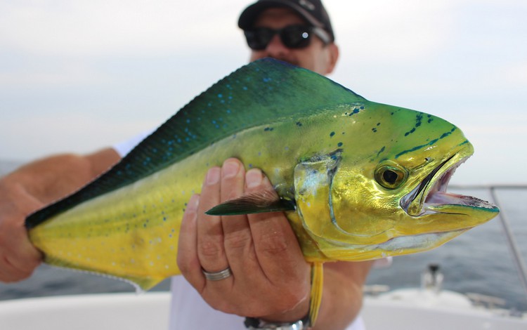 valencia ampolla fangerfolge 0007