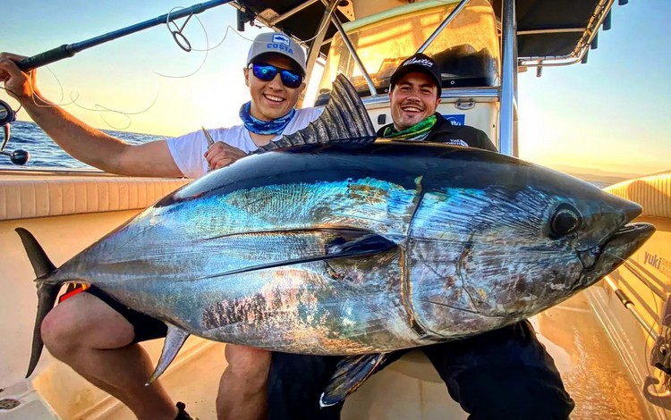 valencia ampolla fangerfolge 0009